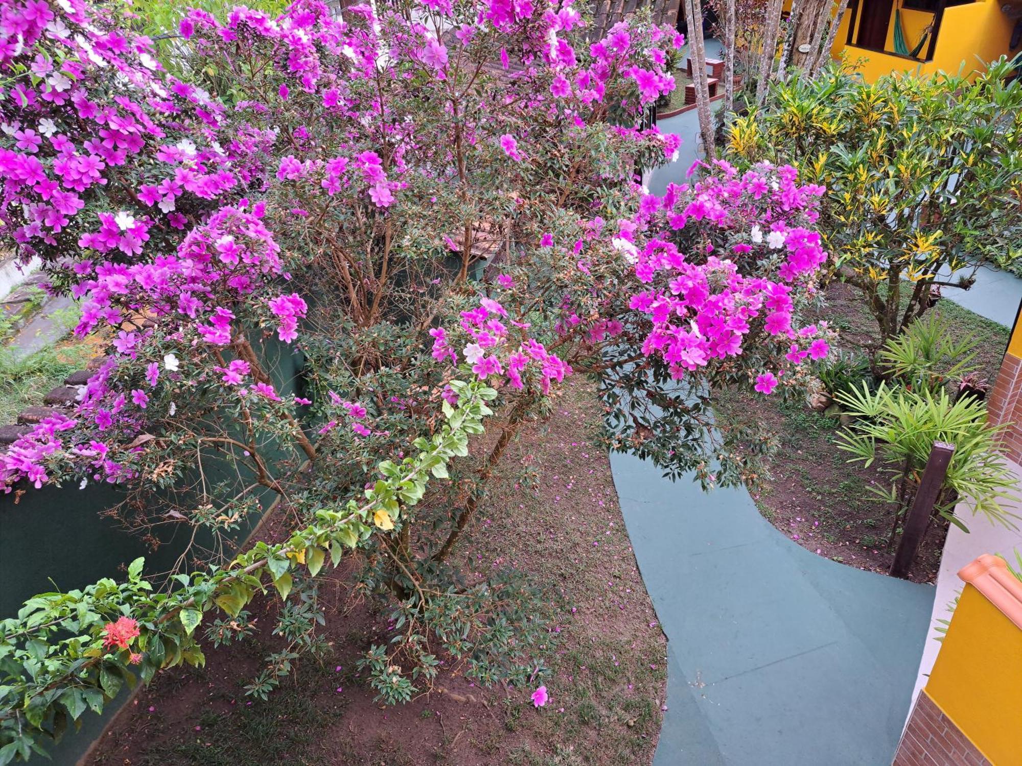 Recanto Das Flores Lofts - Ilha Grande Rj Eksteriør billede